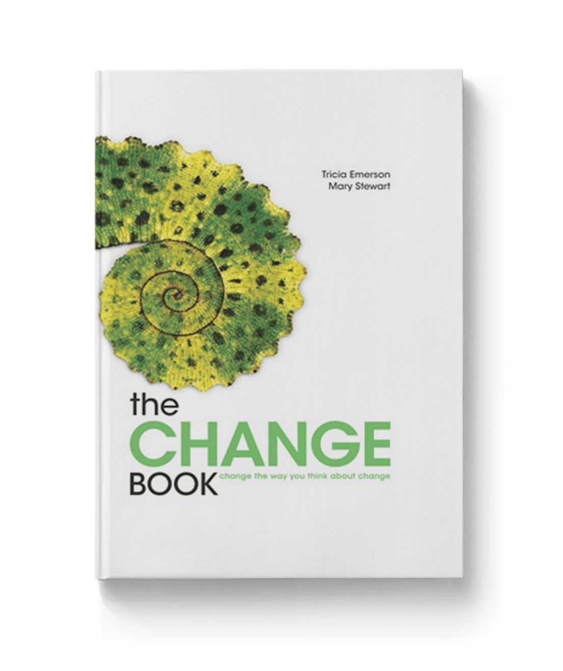 The Change Book