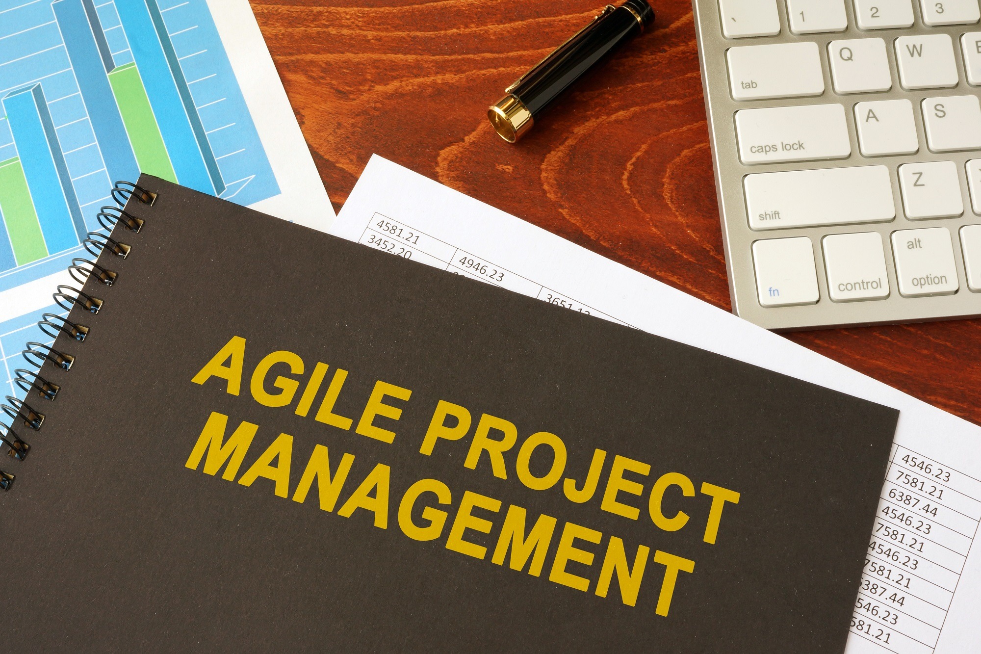 Agile project management