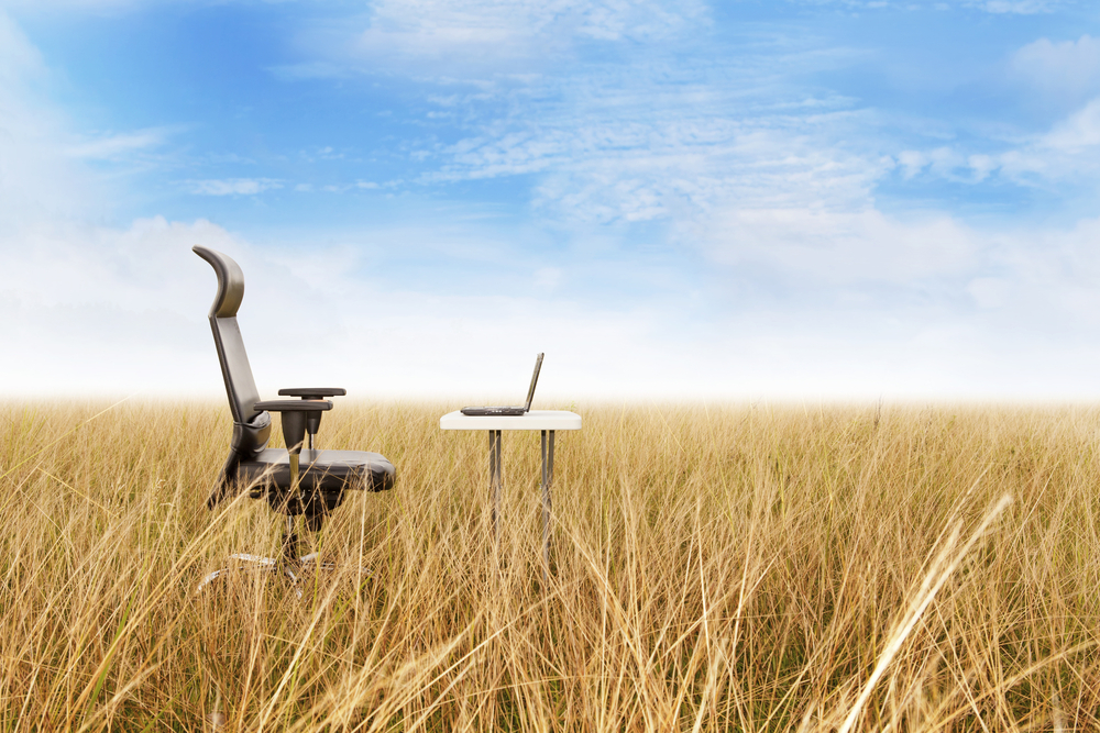 Desk chair in a field